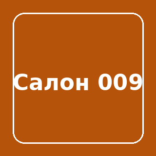 Нагрузочный салон 009